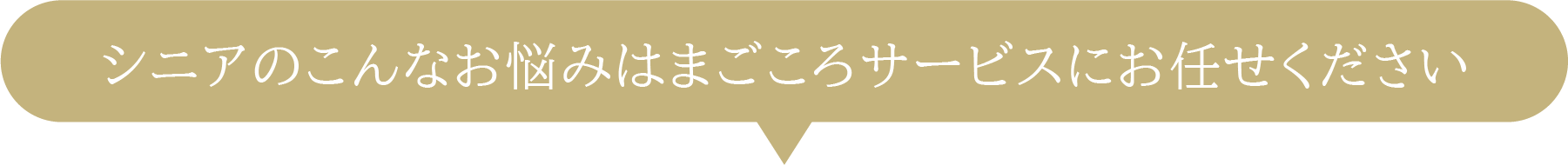 シニアのこんなお悩みはまごころサービスにお任せください