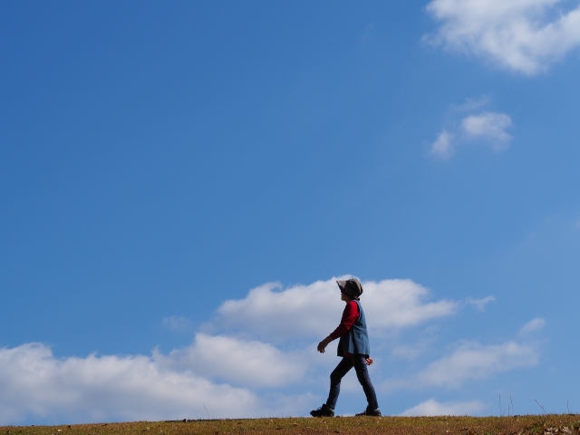 女性のためのマネープラン  旅行・レジャー、老後も楽しみたい！  知らないと損する「年金・介護」  今から始めるマイライフプラン