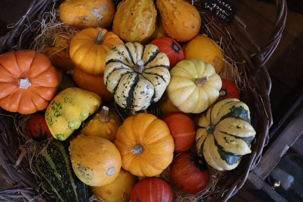 カボチャを使ったテーブルアレンジメント作り