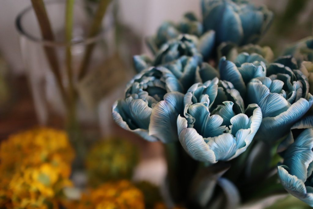 染めチューリップのアレンジメント